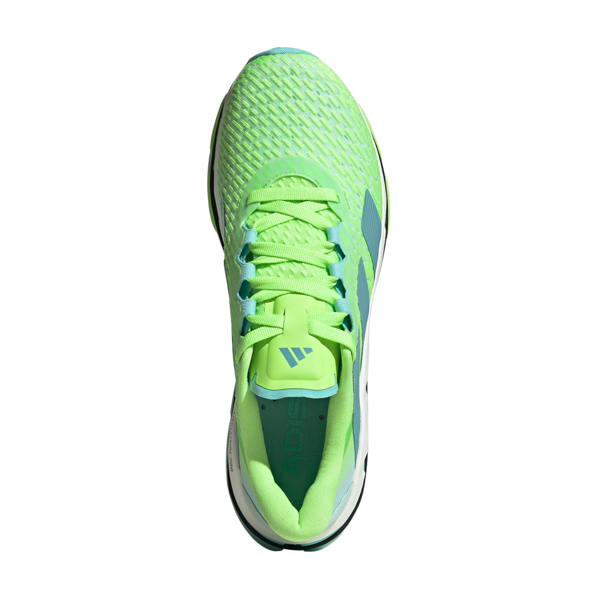 Adidas Adistar BYD – Verde | JR0280