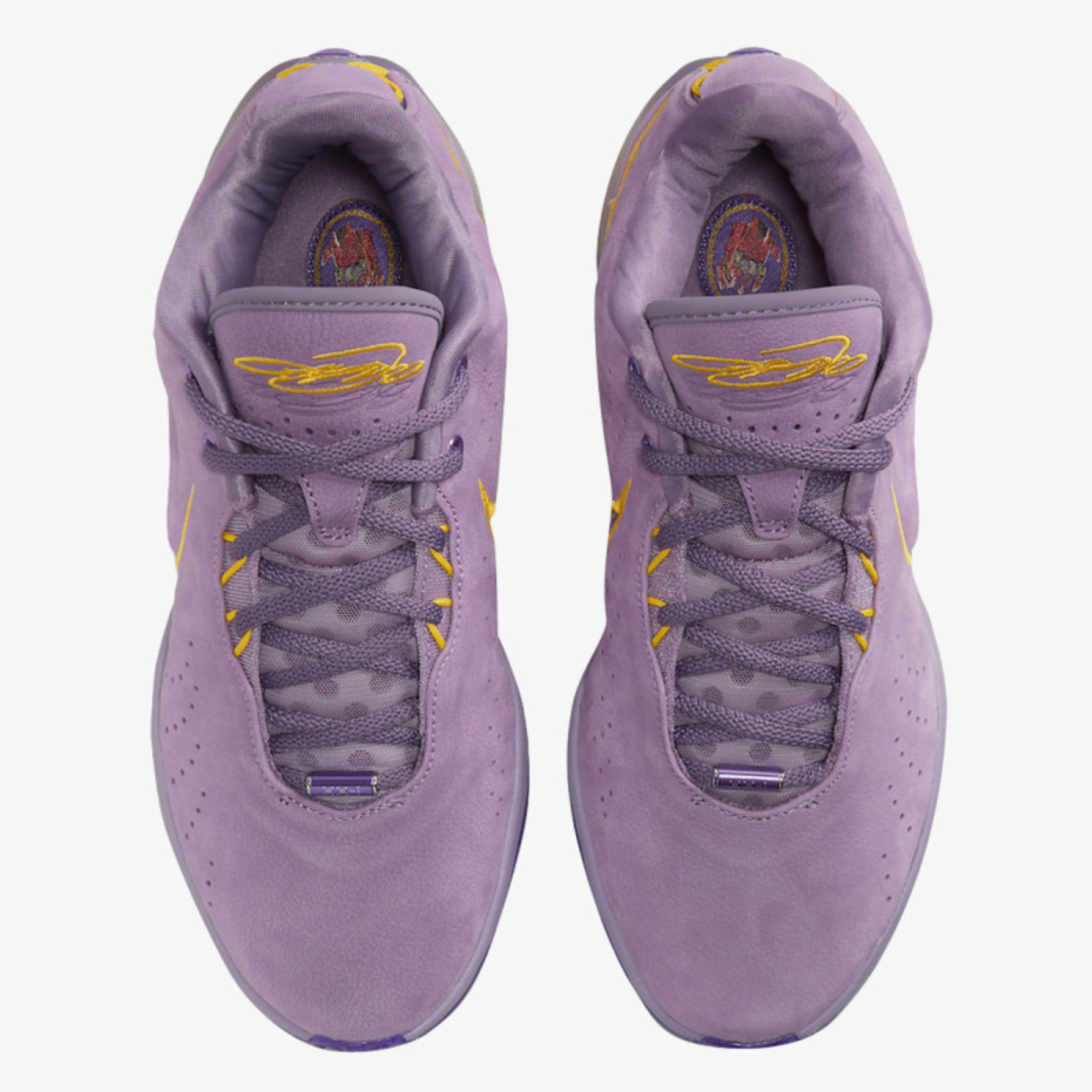 Nike Lebron Xxi “Purple Rain” | FV2345-500
