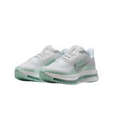 Nike Pegasus Premium "Mint Foam" – Verde | HQ2593-103
