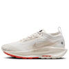 Nike Pegasus Trail 5 Gore-tex Pantofi Sport de Alergare – Alb | FQ0912-100