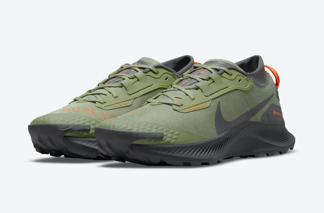 Nike Pegasus Trail 3 Gore-tex Pantofi Sport/alergare – Negru | DO6728-200