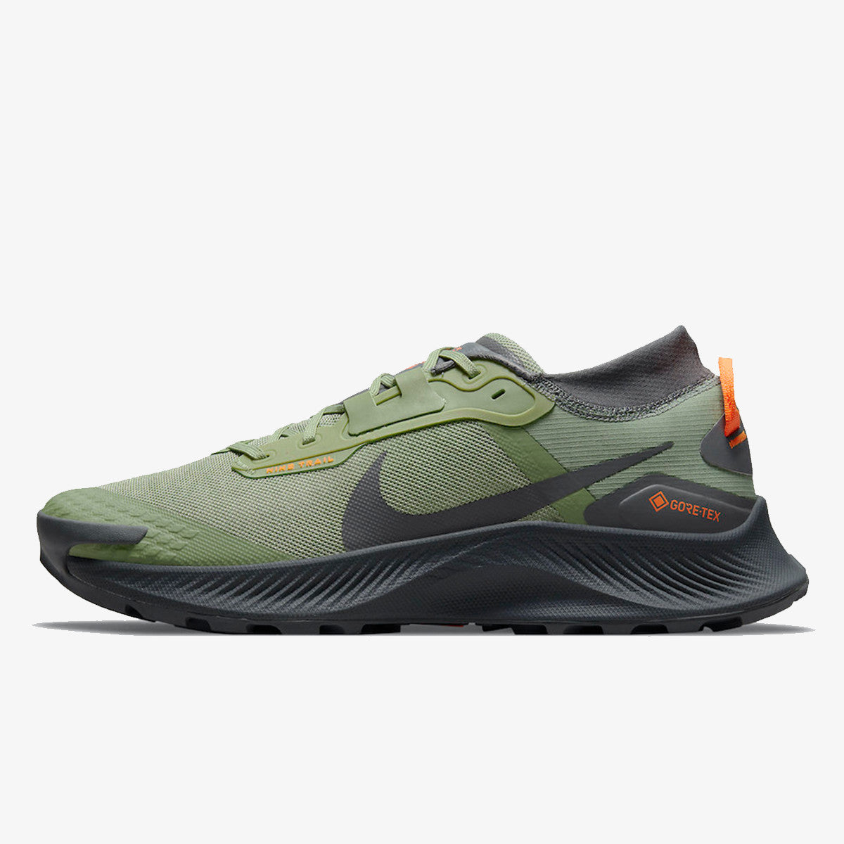 Nike Pegasus Trail 3 Gore-tex Pantofi Sport/alergare – Negru | DO6728-200