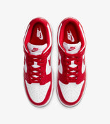 Nike Dunk Low Pantofi Casual de Strada – Alb | CU1727-100