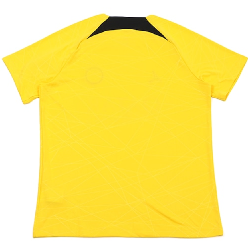 Air Jordan x Paris Saint-Germain Academy Pro Dri-FIT “Tour Yellow” | DR4906-720