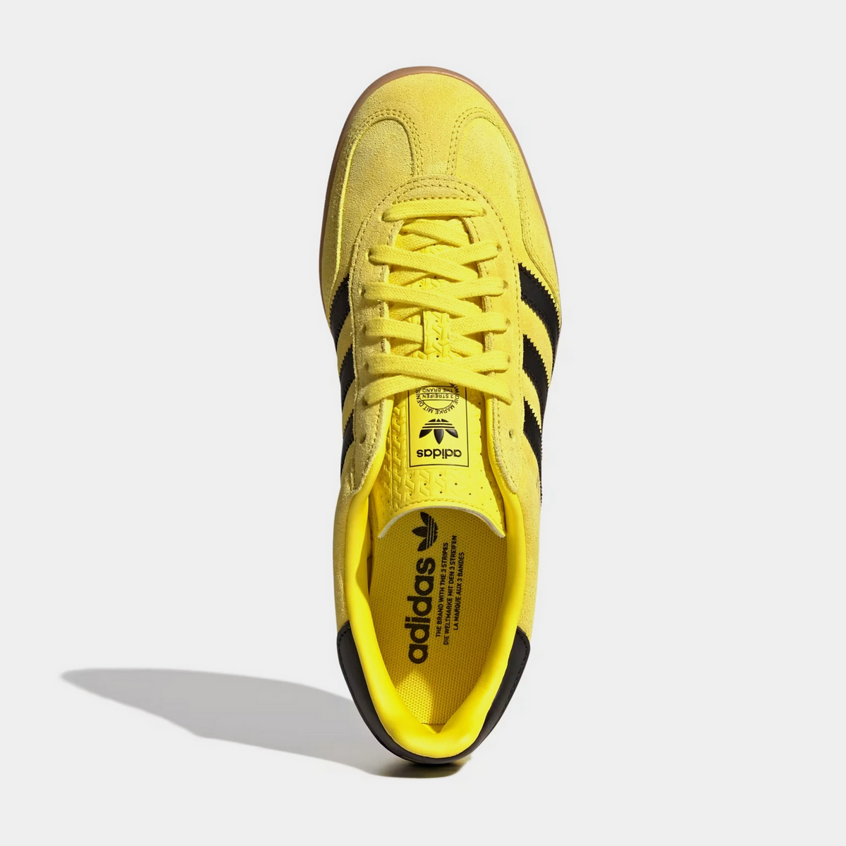 Adidas Gazelle Indoor "Shock Yellow" | JR6303