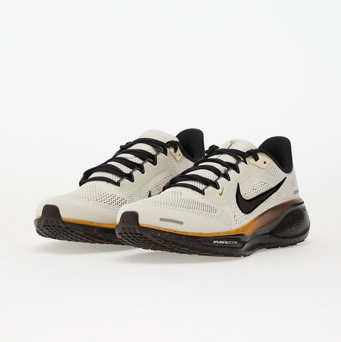 Nike Pegasus 41 “Coffee Bean” – Crem | IH4455-047