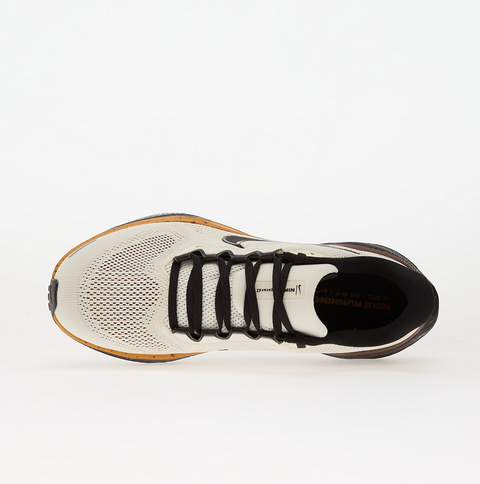 Nike Pegasus 41 “Coffee Bean” – Crem | IH4455-047