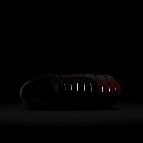 Nike Air Max Plus | CD0609-604