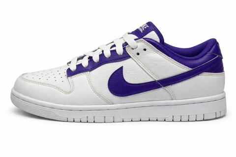 NIKE DUNK LOW – DO7313-003