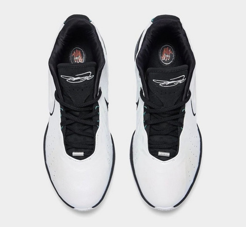 NIKE LEBRON XXI "CONCHIOLIN" – Pantofi sport de baschet – Cod HF5841-100