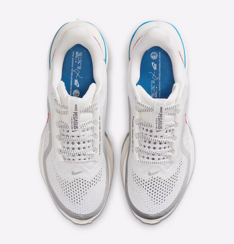 Nike Pegasus Premium “Forrest Gump” – Alb | IH7347-111