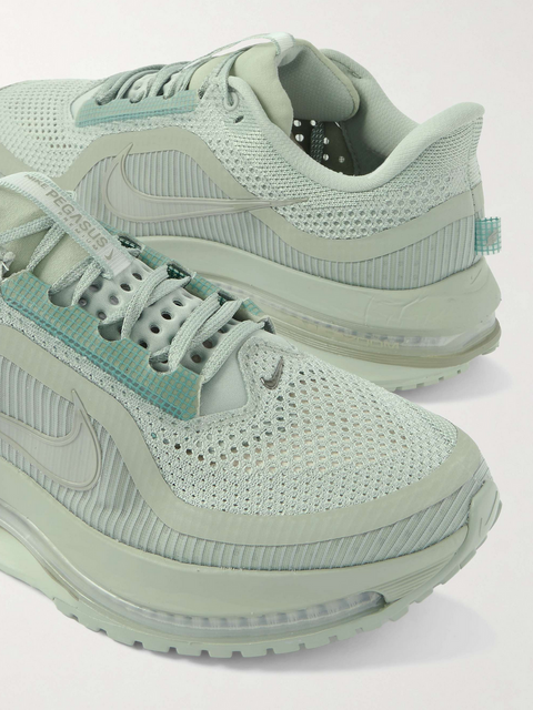 Nike Pegasus Premium – Roz | HQ2592-600