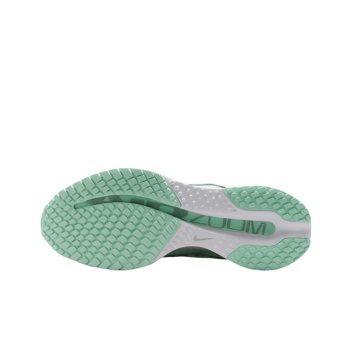 Nike Pegasus Premium "Mint Foam" – Verde | HQ2593-103