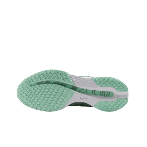 Nike Pegasus Premium "Mint Foam" – Verde | HQ2593-103