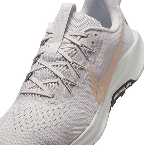 Nike Pegasus Trail 5 – Gri | DV3864-008