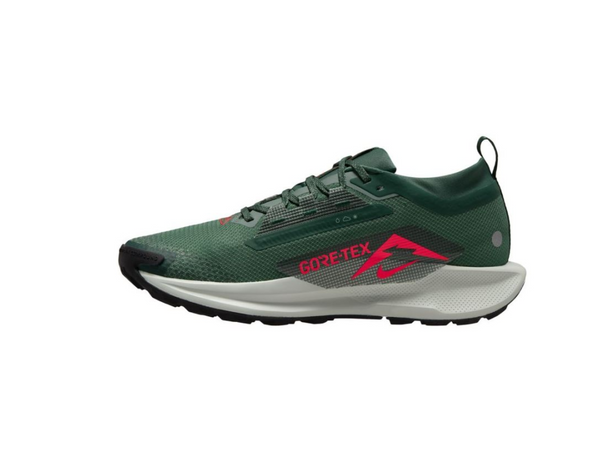 Nike Pegasus Trail 5 Gore-tex | FQ0908-301