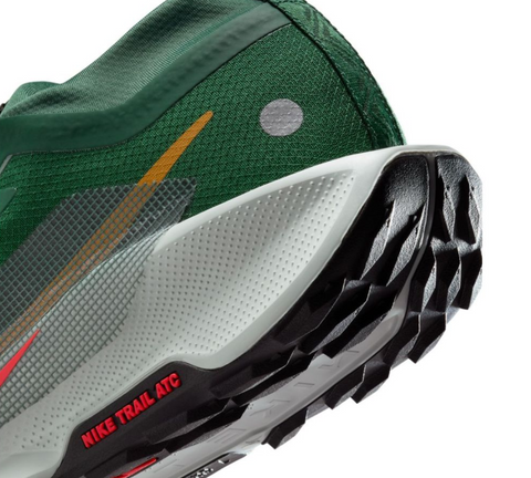 Nike Pegasus Trail 5 Gore-tex | FQ0908-301
