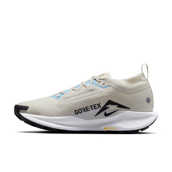 Nike Pegasus Trail 5 Gore-tex | FQ0912-003