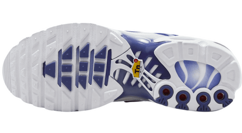 Nike Air Max Plus Metallic Platinum – Cod FZ4345-100