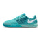 NIKE LUNAR GATO II IC – Ghete de fotbal pentru sală – Cod 580456-501