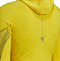 ADIDAS BY STELLA MCCARTNEY by Stella McCartney TruePace Midlayer COLD.RDY “Galben” – Hanorac – Cod HG6860