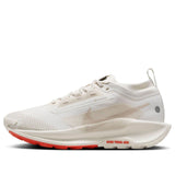Nike Pegasus Trail 5 Gore-tex Pantofi Sport de Alergare – Alb | FQ0912-100