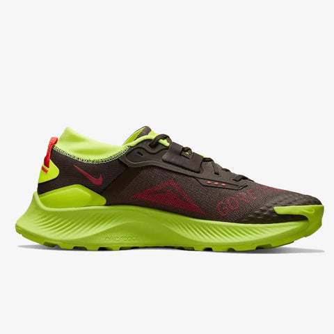 Nike Pegasus Trail 3 Gore-tex Pantofi Sport/alergare – Negru | DO6728-200